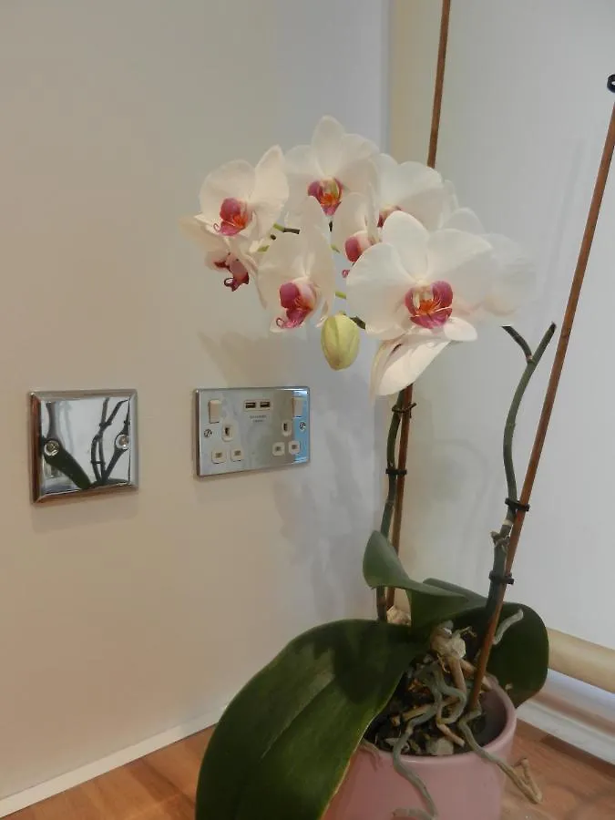 Boynton Hill B&B Nottingham 5*,  Verenigd Koninkrijk